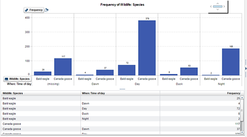 Analytic Report Assignment10.png